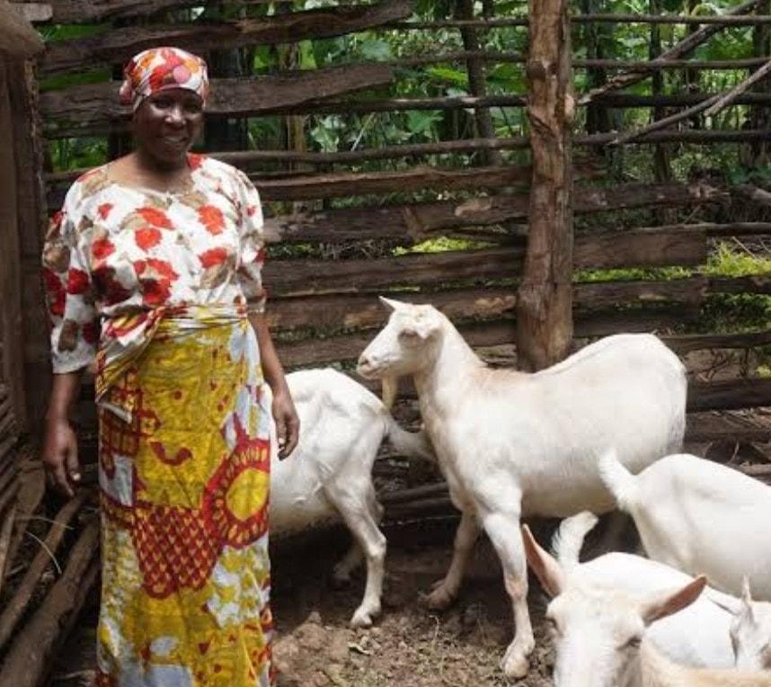 Furaha Mnkondya of Mpela village received goats donated by Tom Paladino in collaboration with Phoenix Voyage