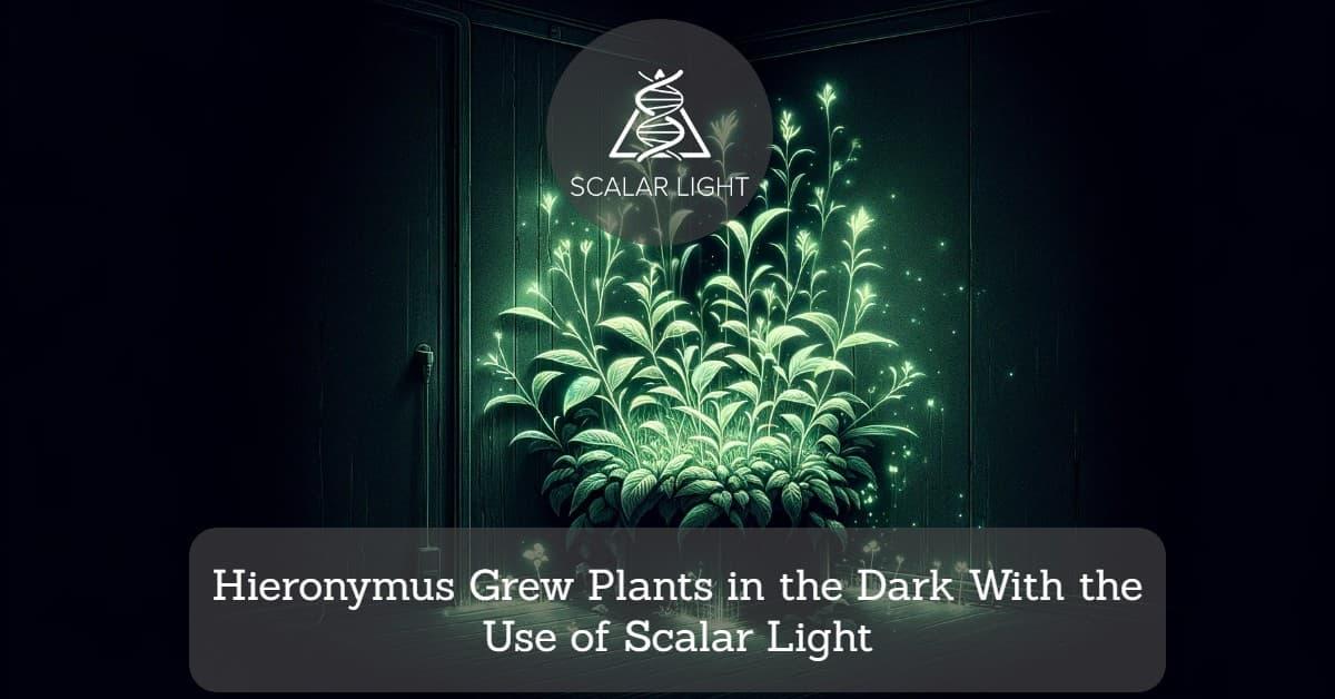 Hieronymus Grew Plants in the Dark With the Use of Scalar Light