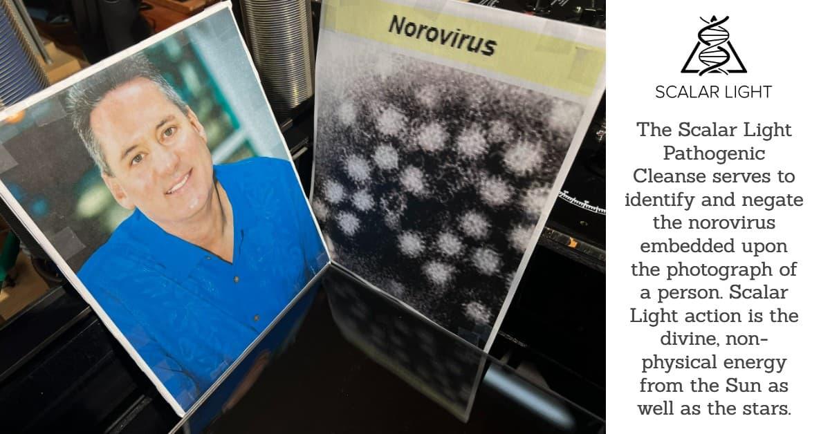 Scalar light pathogenic cleanse with Norovirus