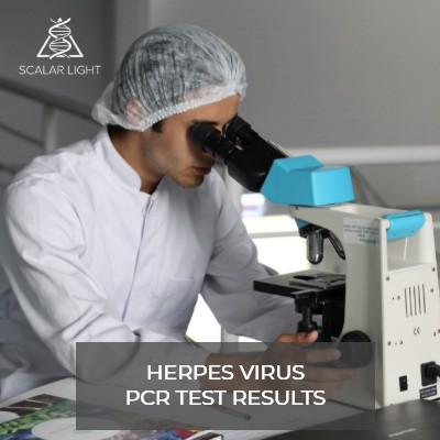 PCR 4