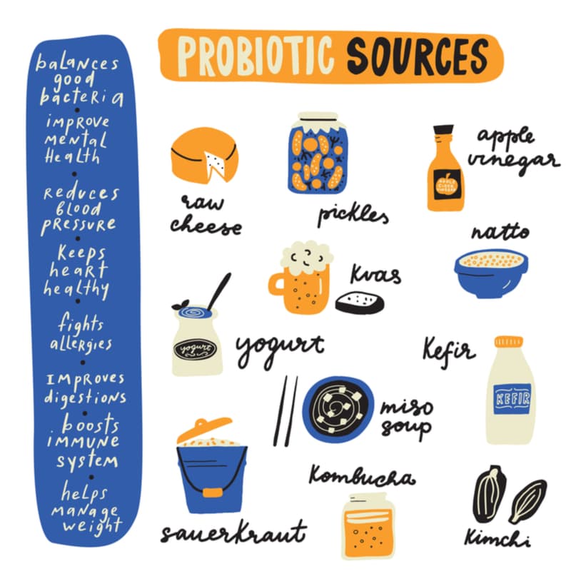 Probiotic Sources