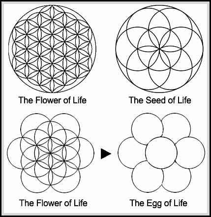 The flower, Egg and Seed of Life diagrams