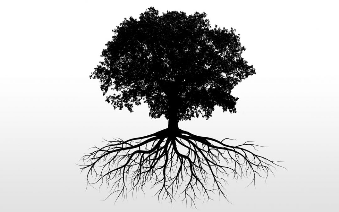 a silhouette of a large tree and it root system on a white background