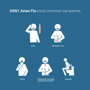 Bird flu most common symptoms with stick figures and text