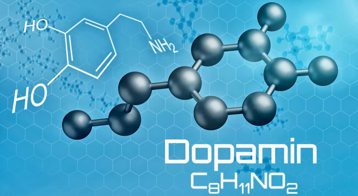 Three-dimensional molecular model of Dopamine