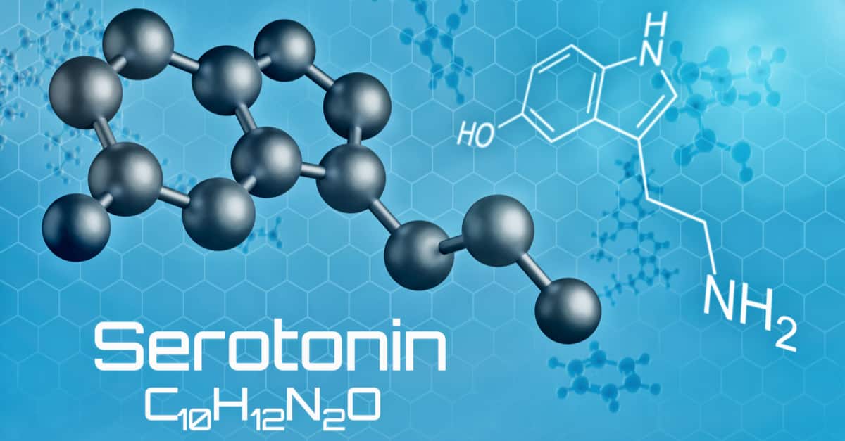 Three-dimensional molecular model of Serotonin