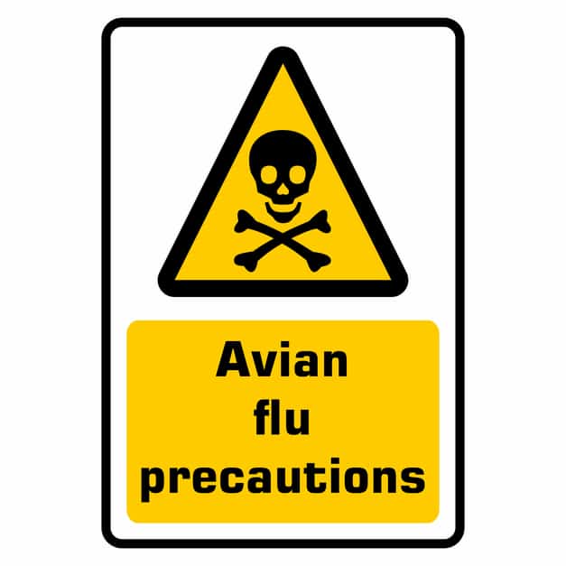Avian flu precautions