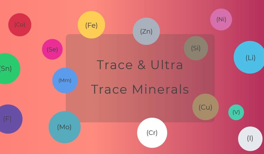 Trace Minerals and Ultra-trace Minerals
