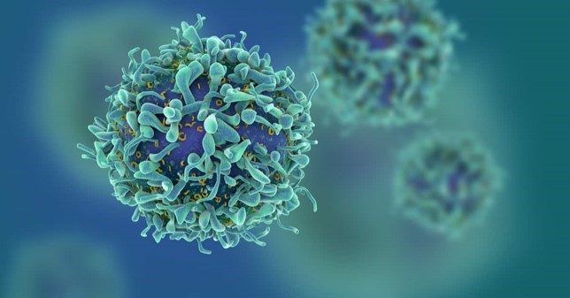 Illustration of T cells or cancer cells
