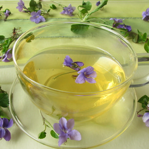 A cup of violet tea with violet flowers lying around