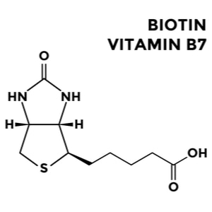 Vitamin B7 - biotin, structural chemical formula