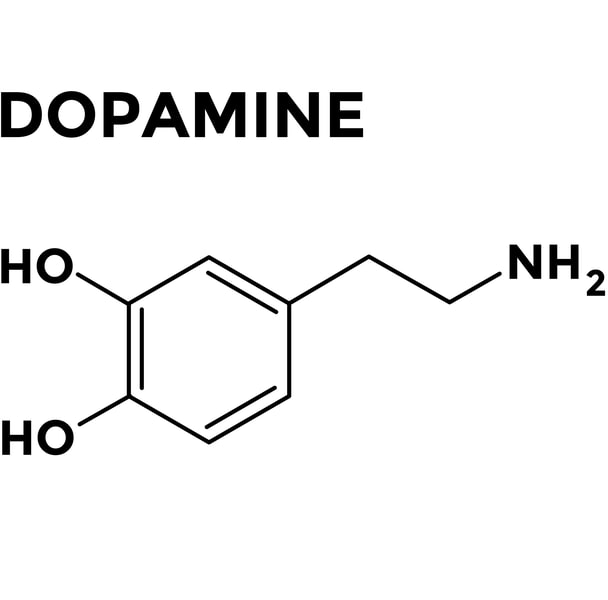 Dopamine structural chemical formula vector. Neurotransmitter of pleasure