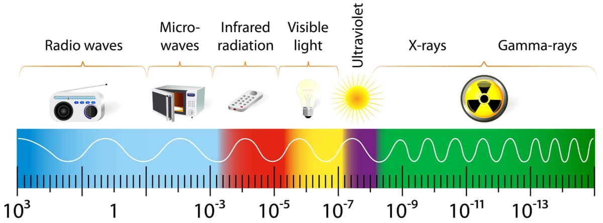 The electromagnetic spectrum vector diagram. different types of electromagnetic radiation by their wavelengths. In order of increasing frequency and decreasing wavelength