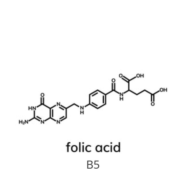 Folic acid or vitamin b9 chemical formula
