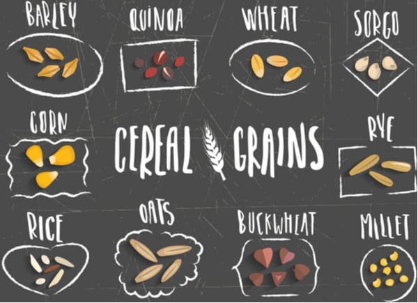 Vector set of cereal grains with white handwritten lettering and hand-drawn stylized grains on black background.
