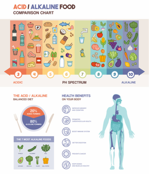 The acidic alkaline diet food chart infographics with food icons on a ph scale and body with health benefits icons