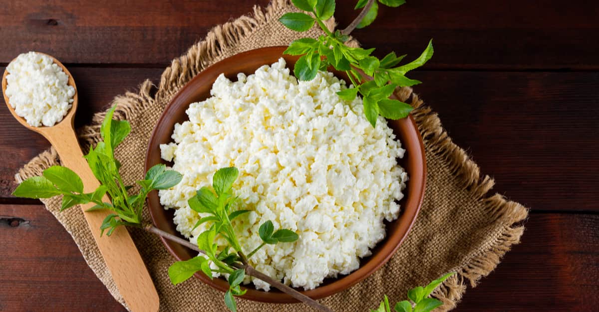 Fresh cottage cheese in a ceramic bowl and green leaves, a rich source of amino acids