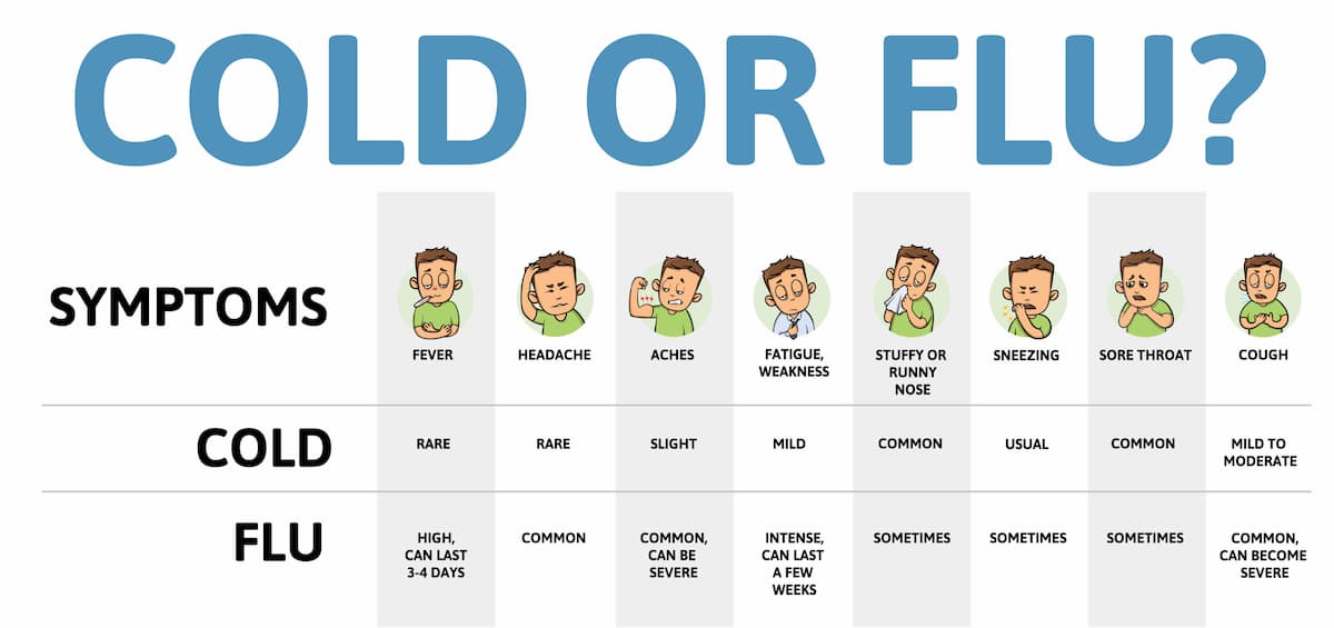 Cold and flu symptoms table chart, showing the differences between viruses and bacterial infections.