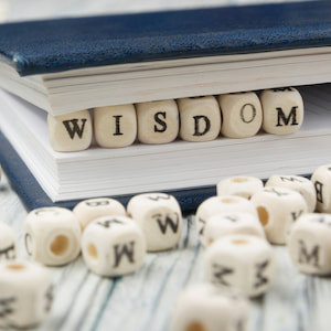 The word wisdom written on dice placed inside a book