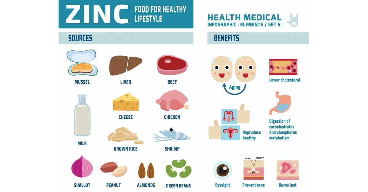 Zinc benefits and sources infographic.