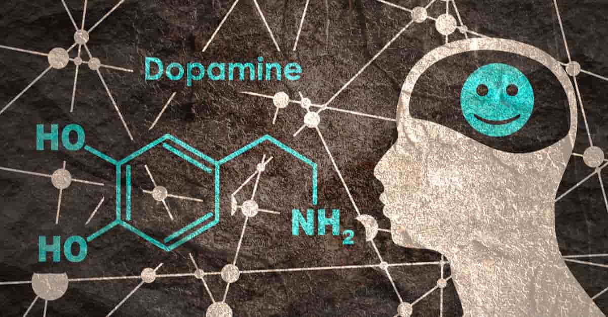 The chemical molecular formula of dopamine- which we need to understand to enable us to discover is dopamine a neurotransmitter