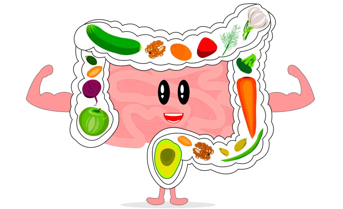 Fruits and vegetables in the colon for healthy digestion