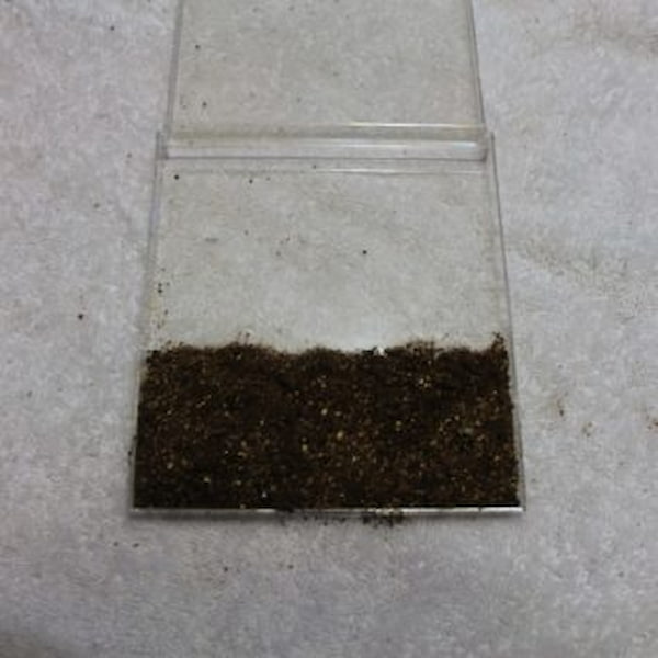 An open CD case with soil being used for science experiments for teenagers