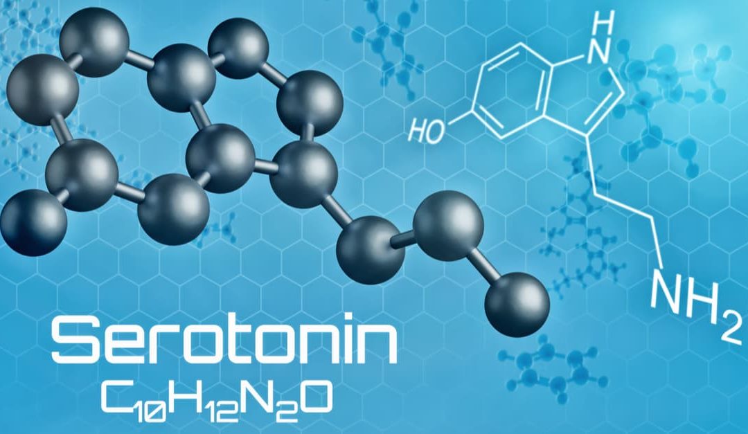 Three-dimensional molecular model of Serotonin