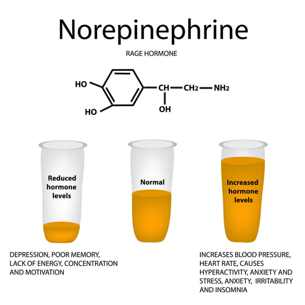 The symptoms of a raised or lowered level of norepinephrine