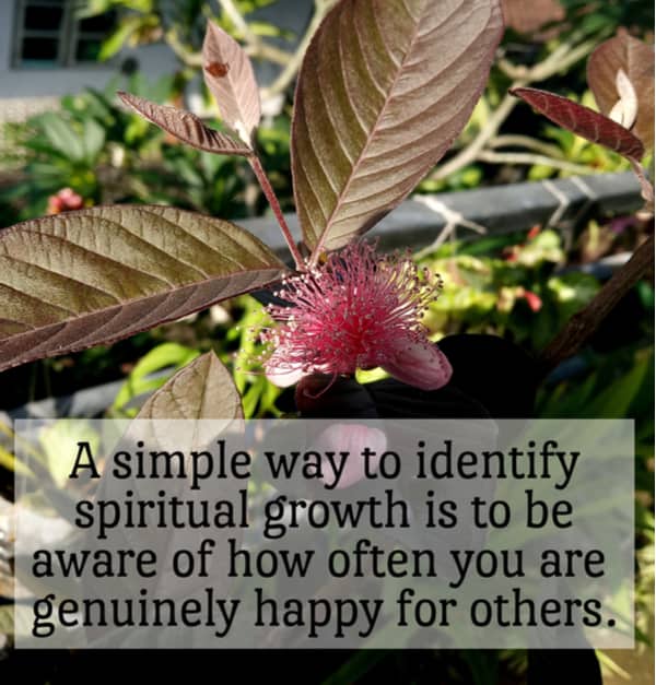Spirituality inspirational words on background of pink guava flower in the garden.