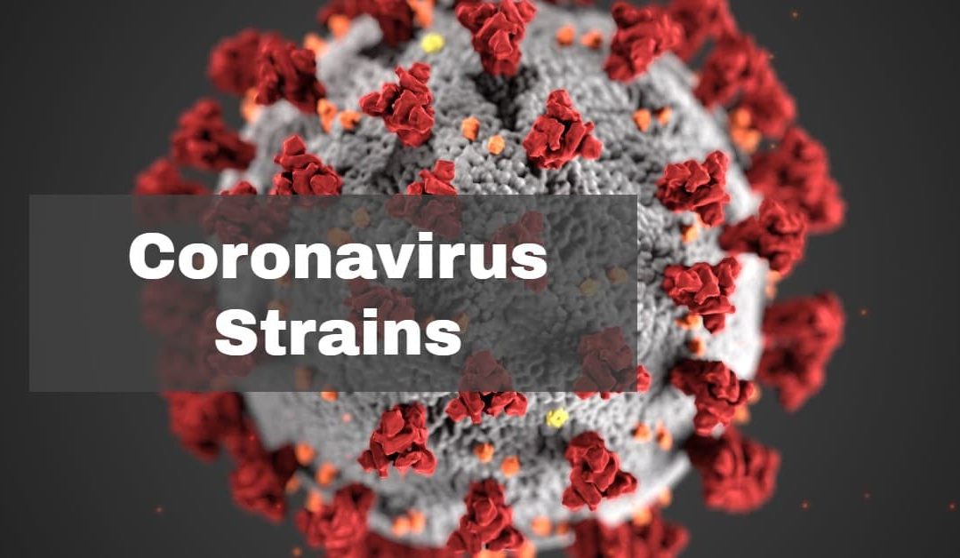 Coronavirus strains written in white on a grey background with a magnified image of coronavirus.