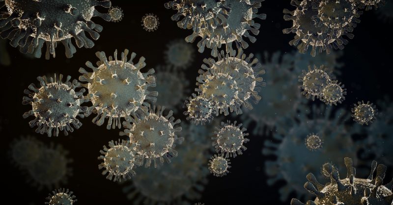 virus - microscopic view
