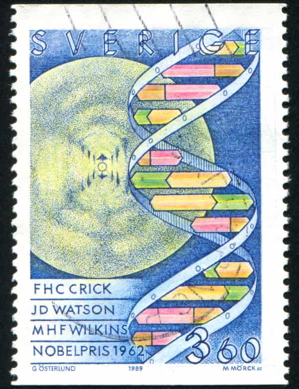 Structure of DNA stamp with those who helped with one of the greatest science discoveries