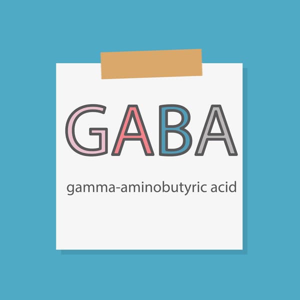 GABA or gamma-aminobutyric acid written in a notebook paper