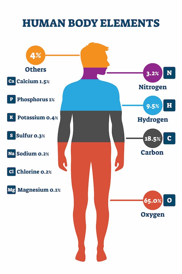 Diagram listing the most commonly found chemicals in the human body