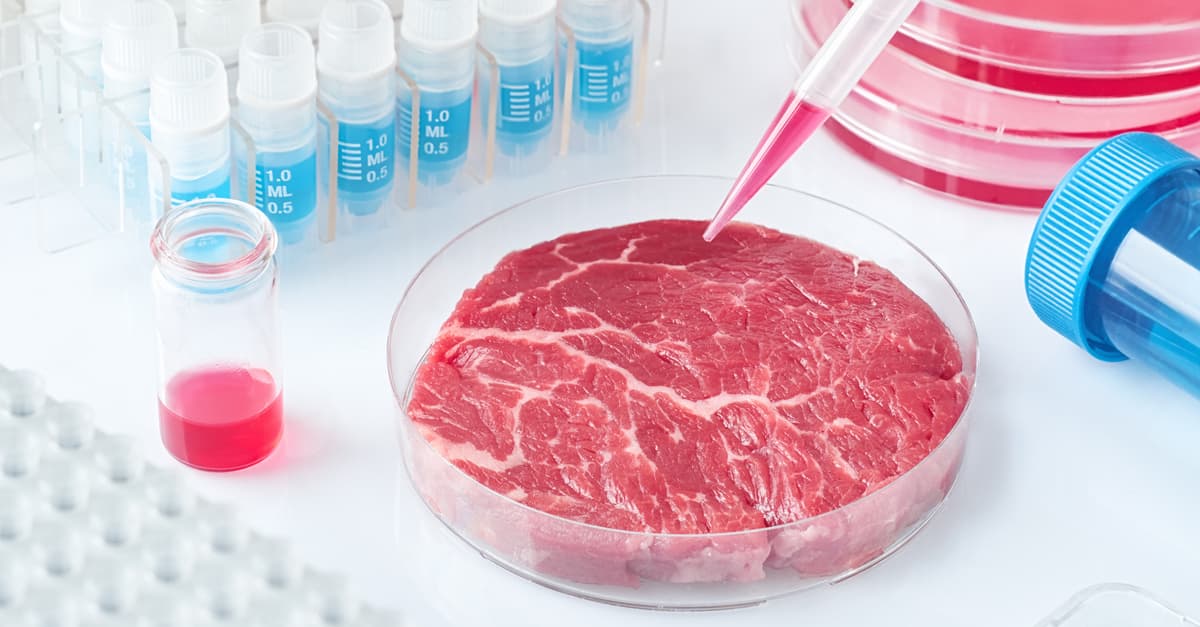Meat sample in a plastic cell-culture dish in a Modern Laboratory