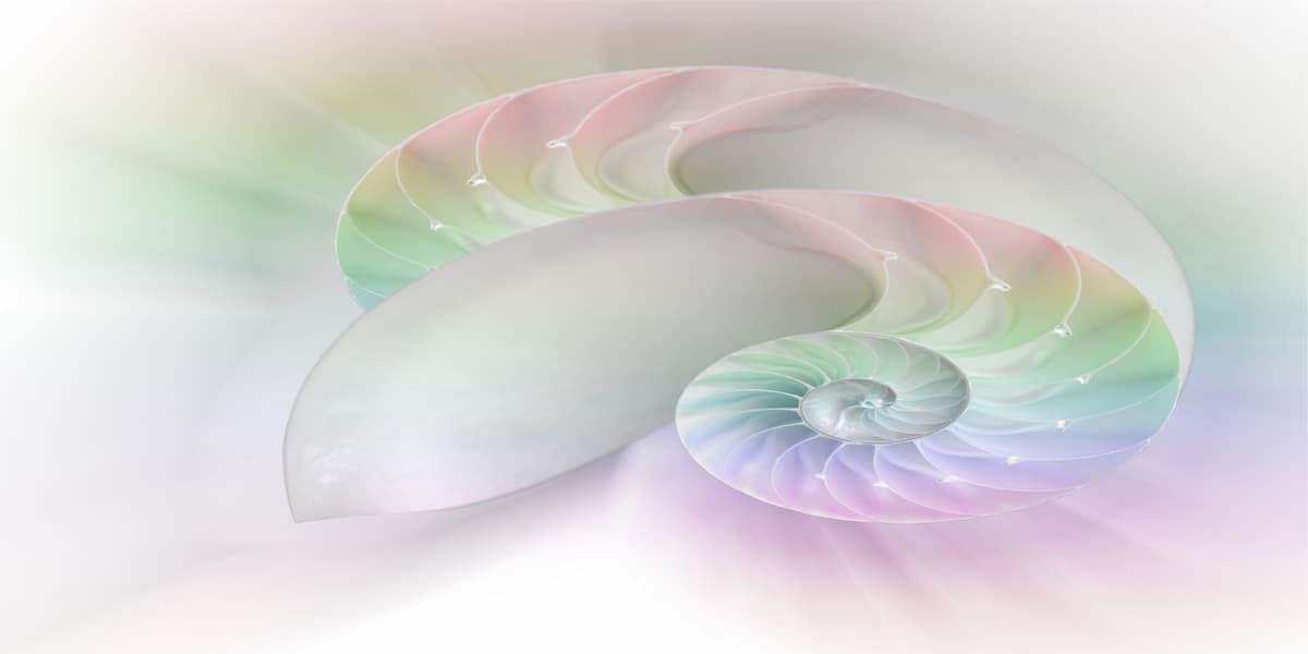 Chambered Nautilus cutaway Shells, which demonstrate the Phi Spiral, over colorful background
