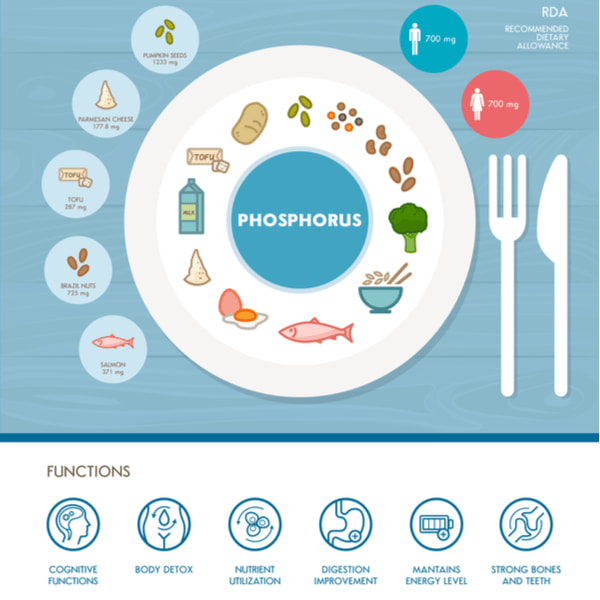 Phosphorus mineral infographic with medical and food icons