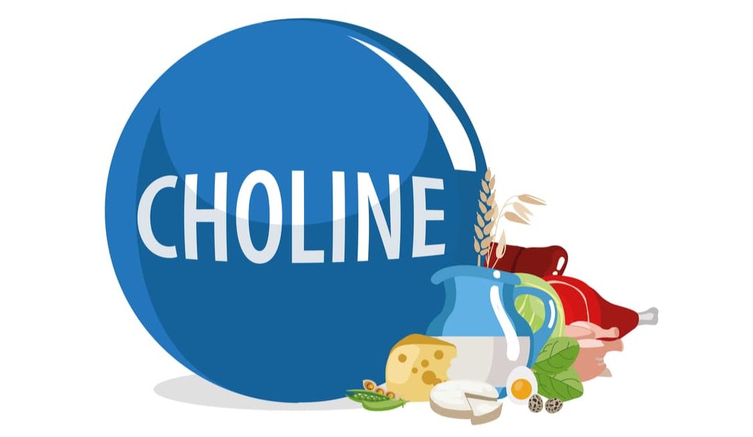 What Do We Need Choline For?