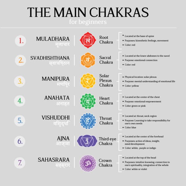 The seven main chakras infographic