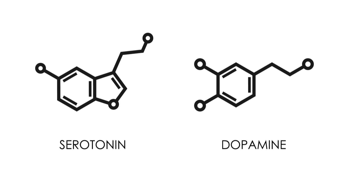 Serotonin and Dopamine are the most commonly known neurotransmitters