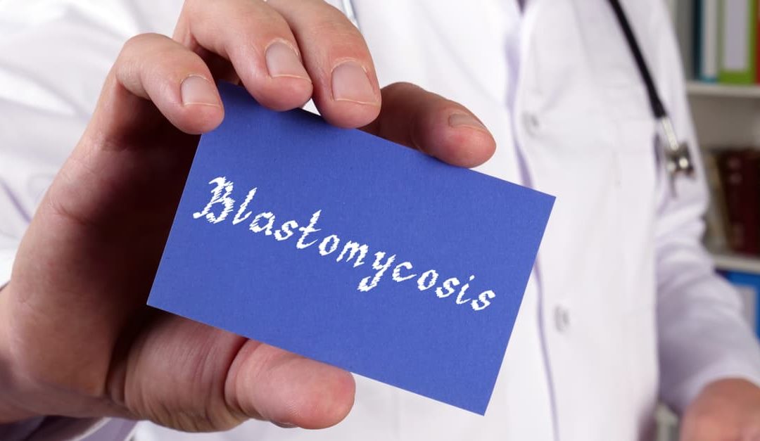 Health care concept with a doctor holding a card with the word Blastomycosis written on it