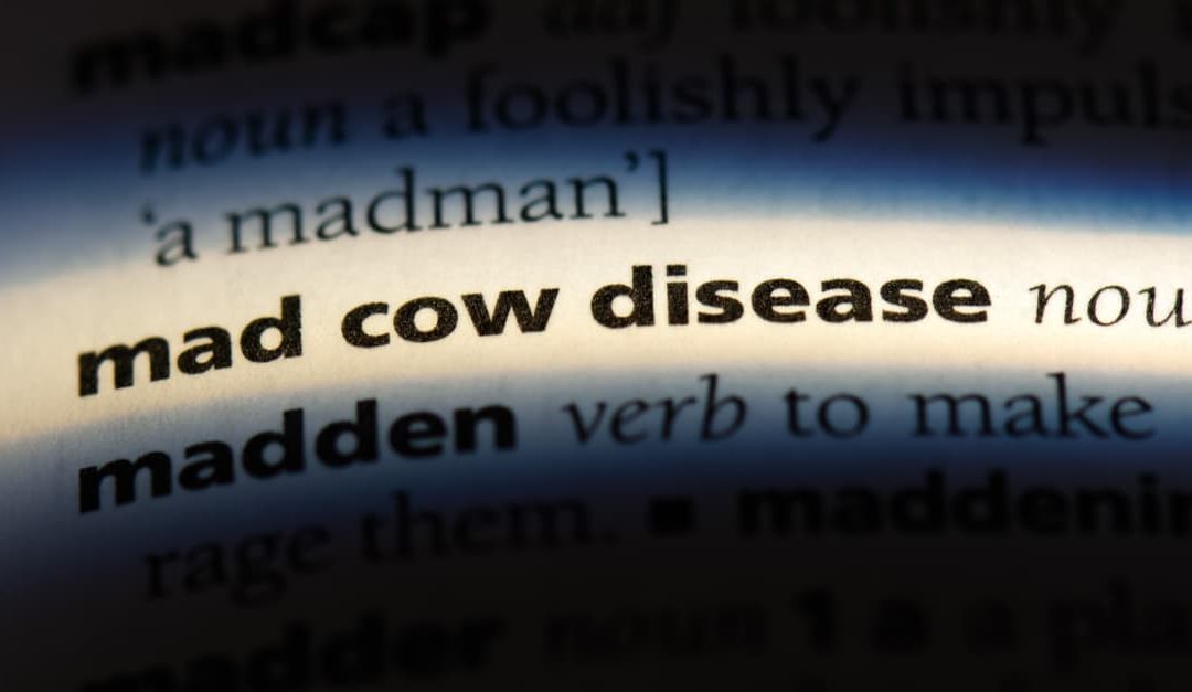 Mad cow disease in a dictionary