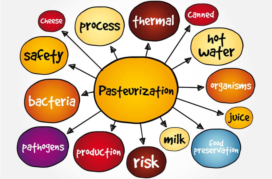 Pasteurization mind map