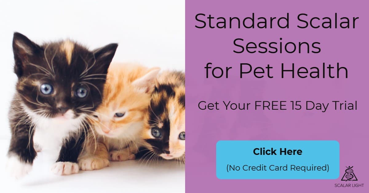 Try Standard Scalar Sessions for your Pet Health free for 15 days