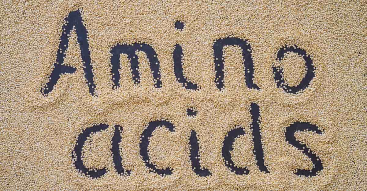 Amino acids written in the sand