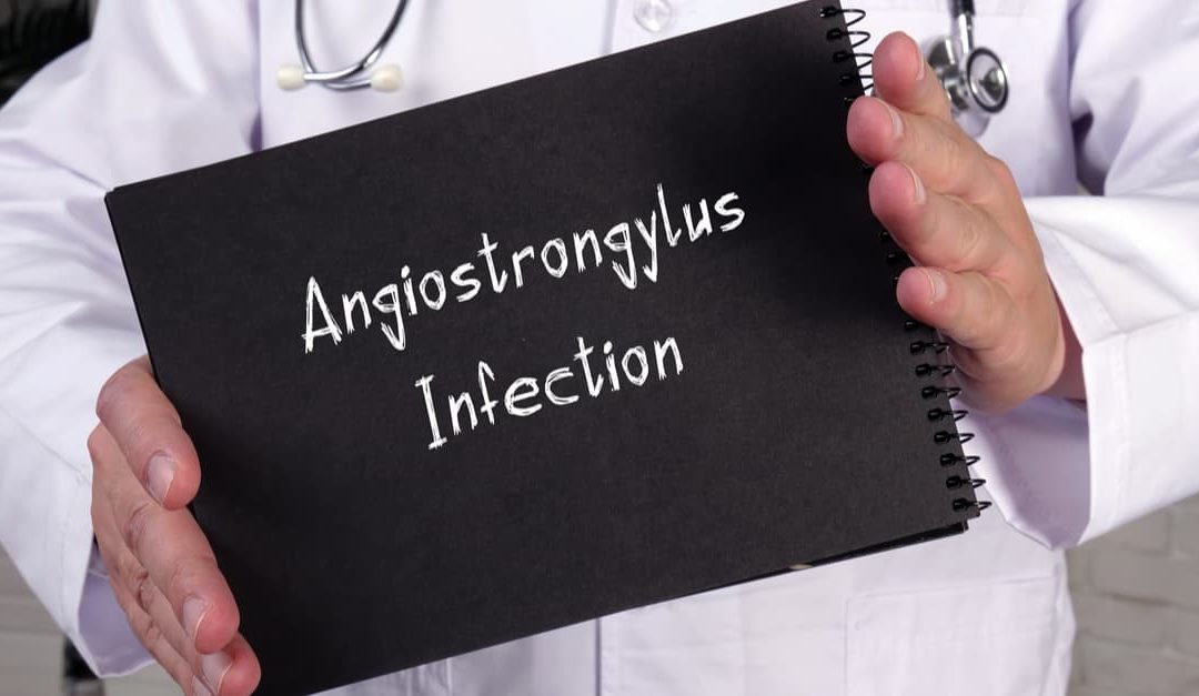 Angiostrongylus Infection phrase written on a page